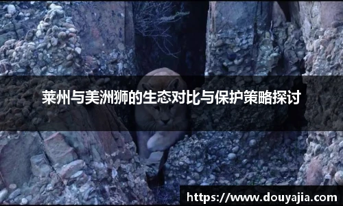 莱州与美洲狮的生态对比与保护策略探讨